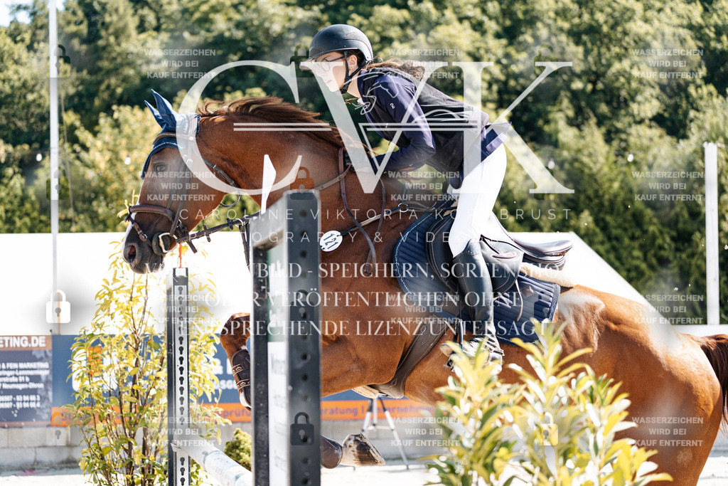 CK908047 | Turnierfotografie Pferdefotografie Trier Rheinland-Pfalz Pferdesport Reitsport Tierfotografie Sportfotografie Pferdevideo Pferdevideografie Equestrianvideography equestrianphotography  - Realisiert mit Pictrs.com