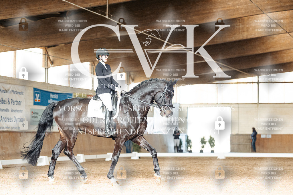 CK902478 | Turnierfotografie Pferdefotografie Trier Rheinland-Pfalz Pferdesport Reitsport Tierfotografie Sportfotografie Pferdevideo Pferdevideografie Equestrianvideography equestrianphotography  - Realisiert mit Pictrs.com