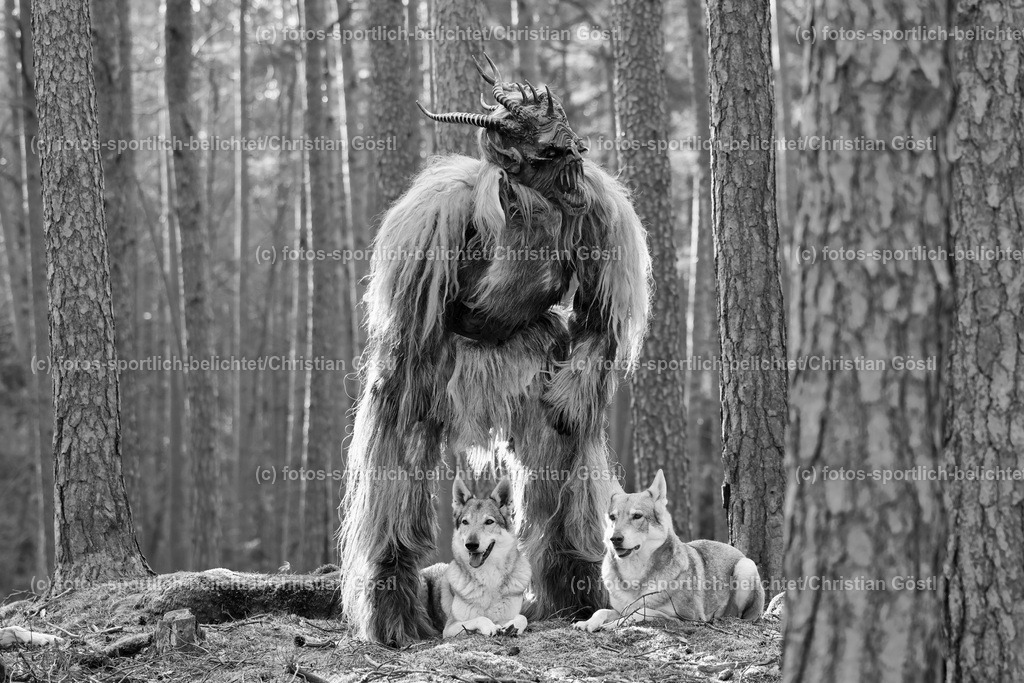 2X5A3418 | fotos-sportlich-belichtet - Realisiert mit Pictrs.com