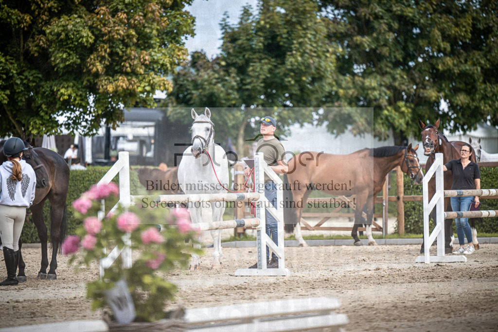 DOS_1071 | Entdecke hochwertige Reitturnierfotos von Foto Oger. Professionell, emotional und authentisch – jetzt Lieblingsmomente im Shop bestellen.Deutschlandweite Turnierfotografie. - Realisiert mit Pictrs.com