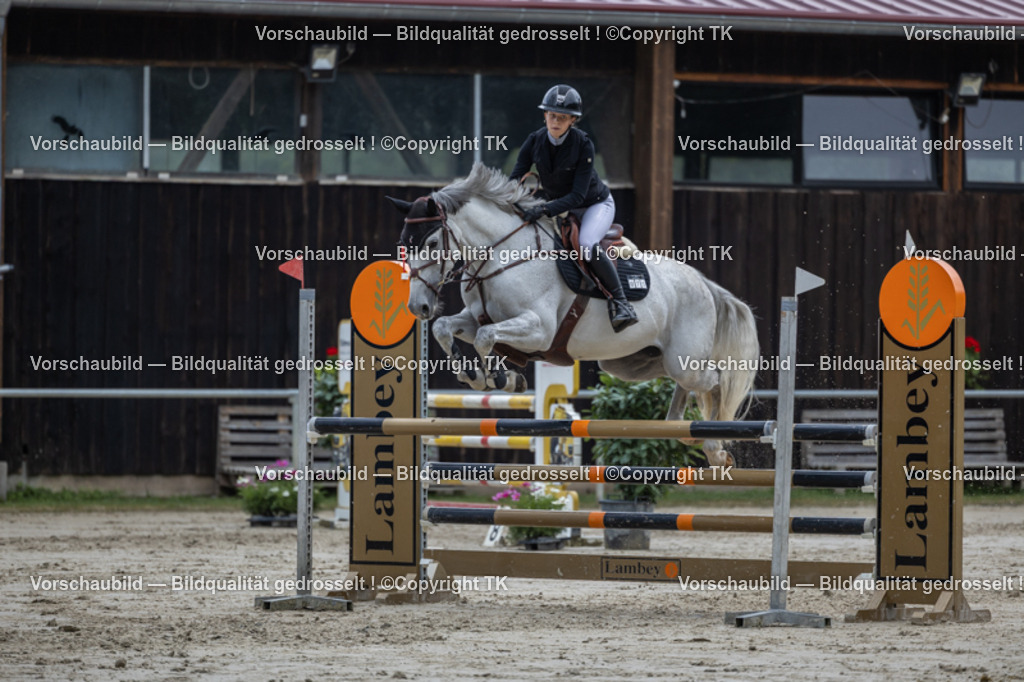 _D5A7935 | Emotionale Pferde- & People-Fotografie rund um Heidelberg, Leimen & Umgebung. Natürliche Fotos von Pferd, Mensch & Familie. Jetzt Termin sichern!