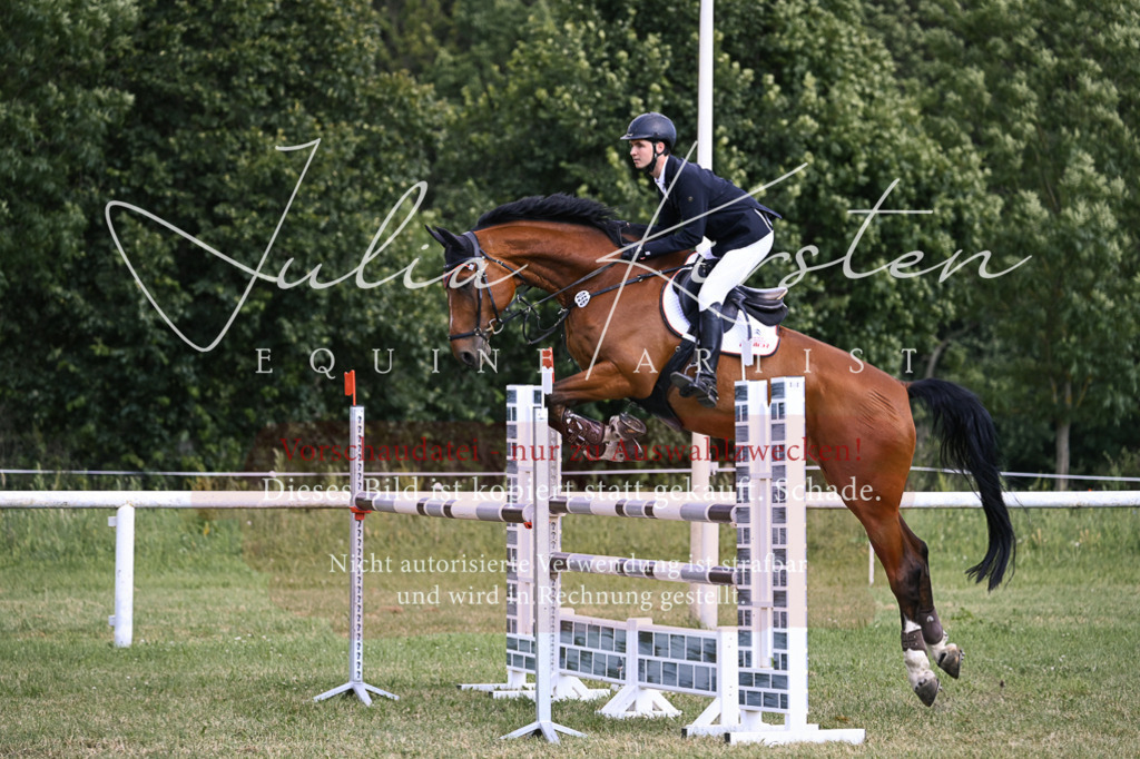 DSC_1004 | Pferde- und Turnierfotografie in Westsachsen. Pferdeportraits, Auftragszeichnungen und intuitive Kunst.
