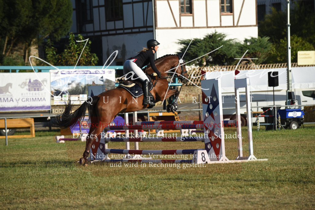 DSC_4860 | Pferde- und Turnierfotografie in Westsachsen. Pferdeportraits, Auftragszeichnungen und intuitive Kunst.