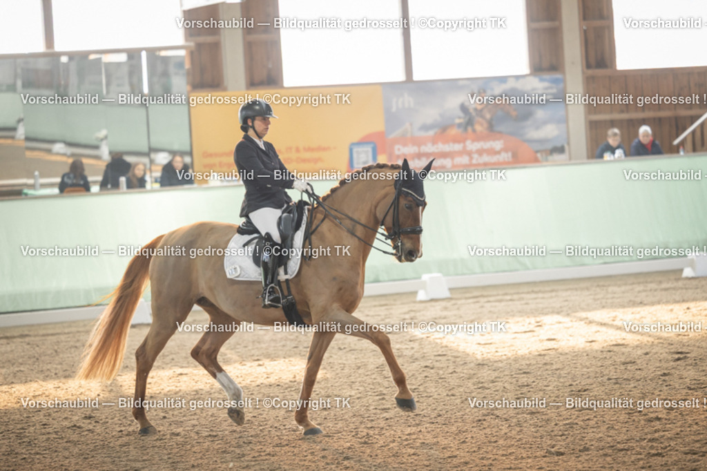 _D5A3964 | Emotionale Pferde- & People-Fotografie rund um Heidelberg, Leimen & Umgebung. Natürliche Fotos von Pferd, Mensch & Familie. Jetzt Termin sichern!