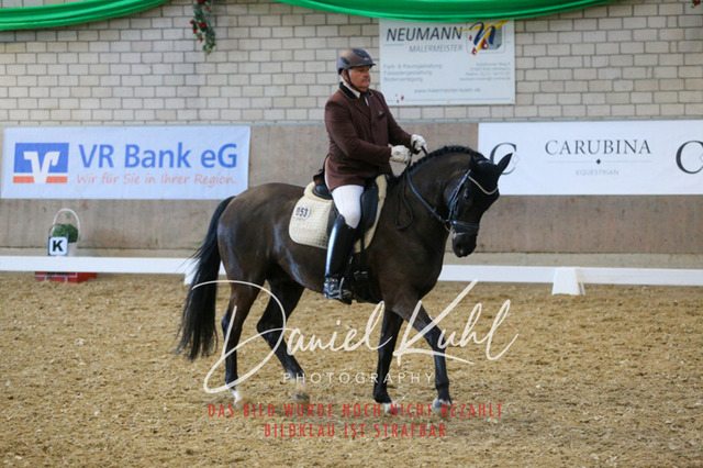 IMG_2836 | Turnierfotos kaufen im Webshop von Daniel Kuhl Photography – entdecke professionelle Reitsportfotos aus Turnieren & Events. Hochwertige Turnierbilder online bestellen & sichern. Jetzt Fotos von Reitsportturnieren kaufen!