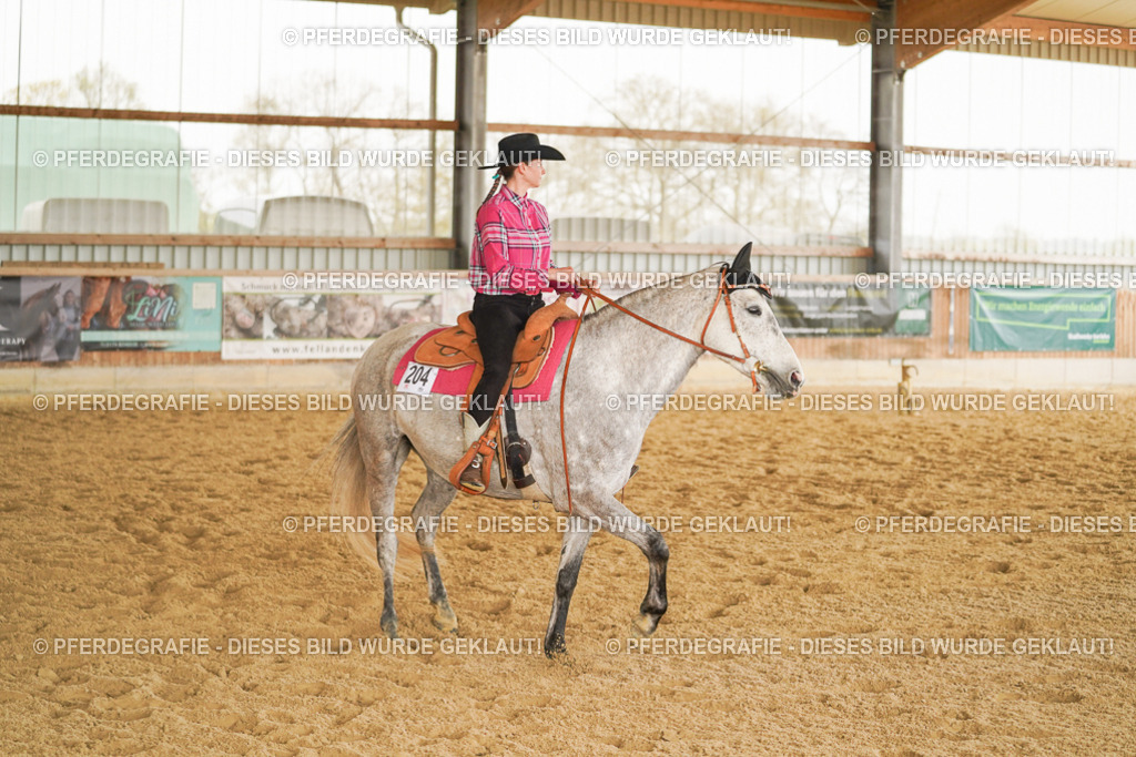 DSC04197 | Pferdegrafie