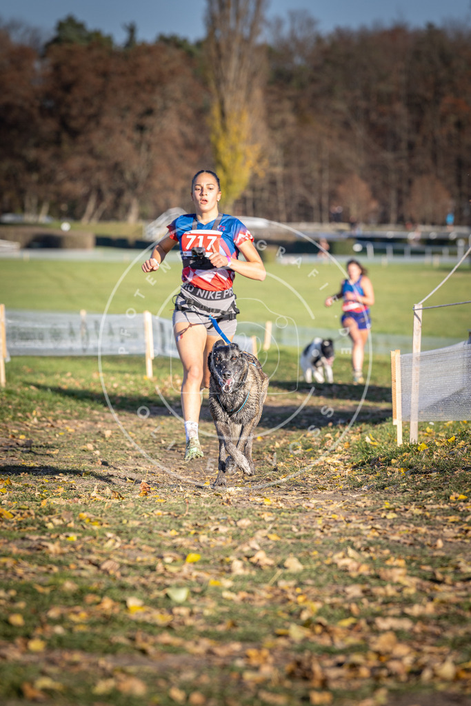 CaniXpix_DV3A1750 | Hundefotografie, Tierfotograf, Pfotenfotografie, Fotoshooting Hund, Hunde Portrait, Hundesport, Hundeportraits, Heideshooting, Hunde, Sportfotograf, Hundefotograf, Turnierhundsport, THS,  - Realisiert mit Pictrs.com