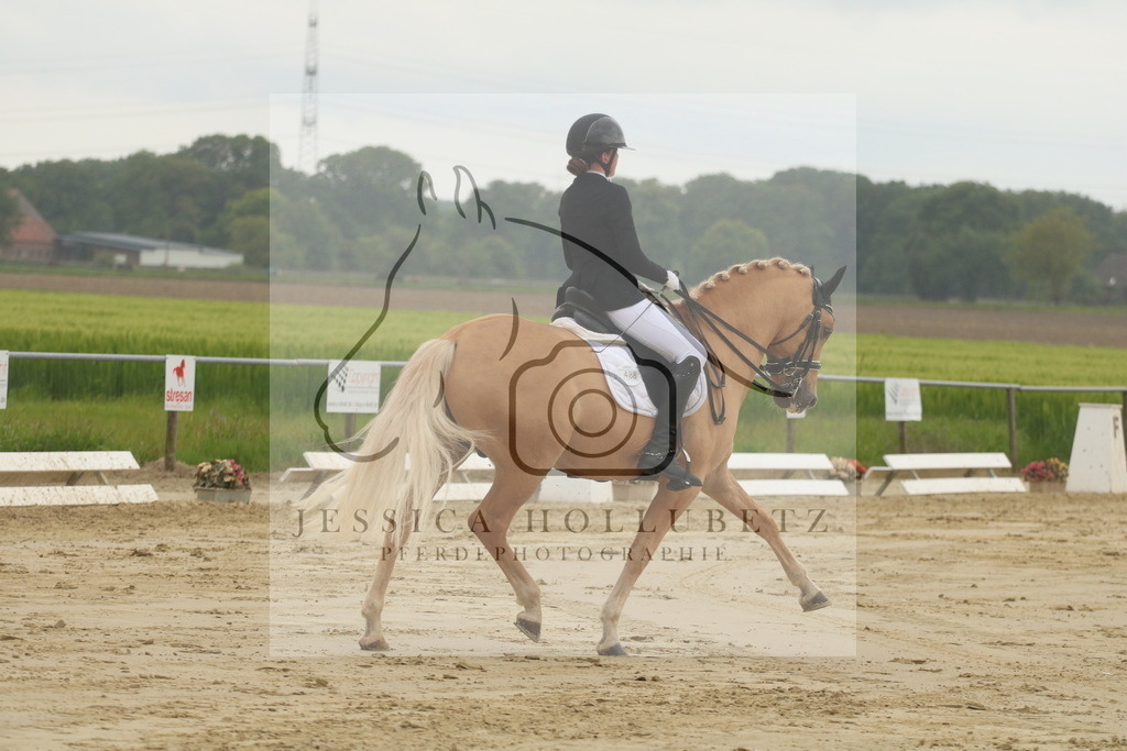 IMG_7318 | jessicahollubetz_pferdephotographie - Realisiert mit Pictrs.com