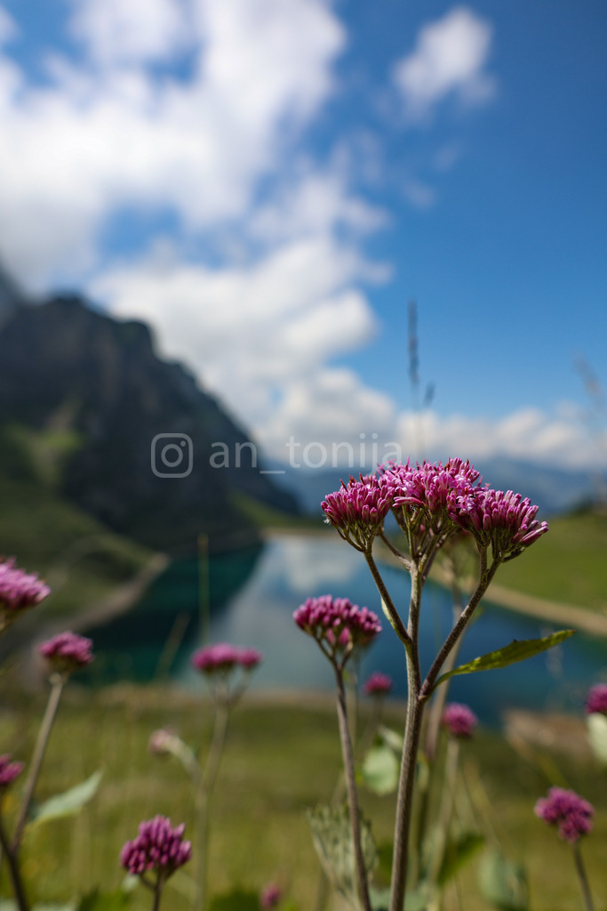 A.Trupina-21 | antonija-trupina - Realisiert mit Pictrs.com