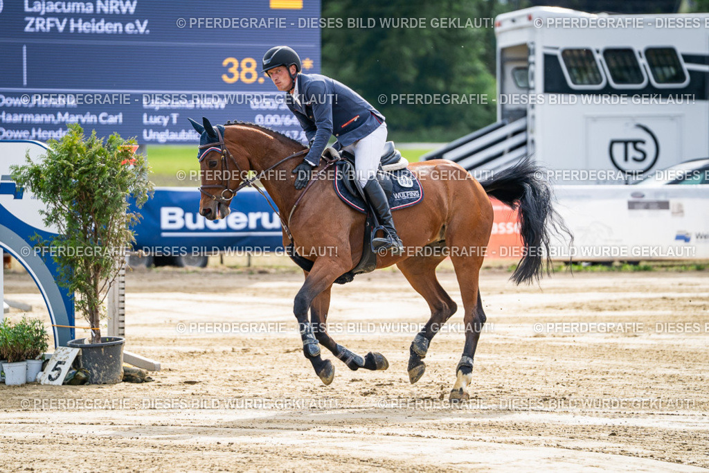 DSC07312 | Pferdegrafie