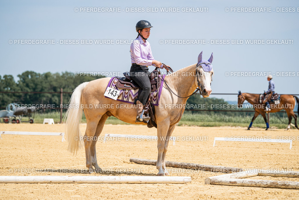 DSC01196 | Pferdegrafie