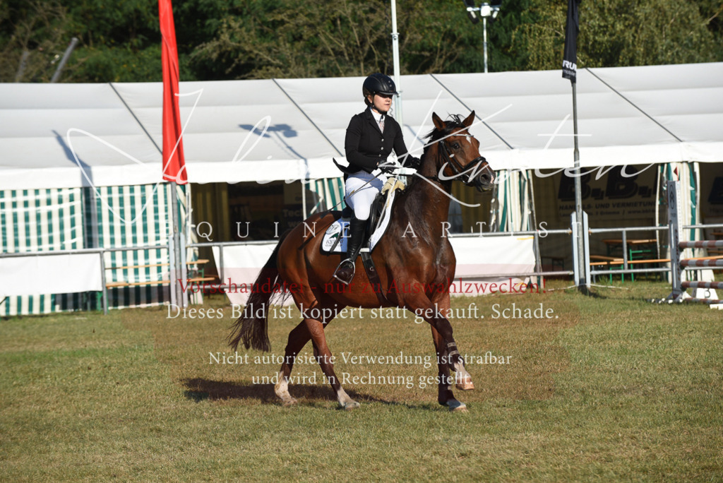 DSC_5091 | Pferde- und Turnierfotografie in Westsachsen. Pferdeportraits, Auftragszeichnungen und intuitive Kunst.