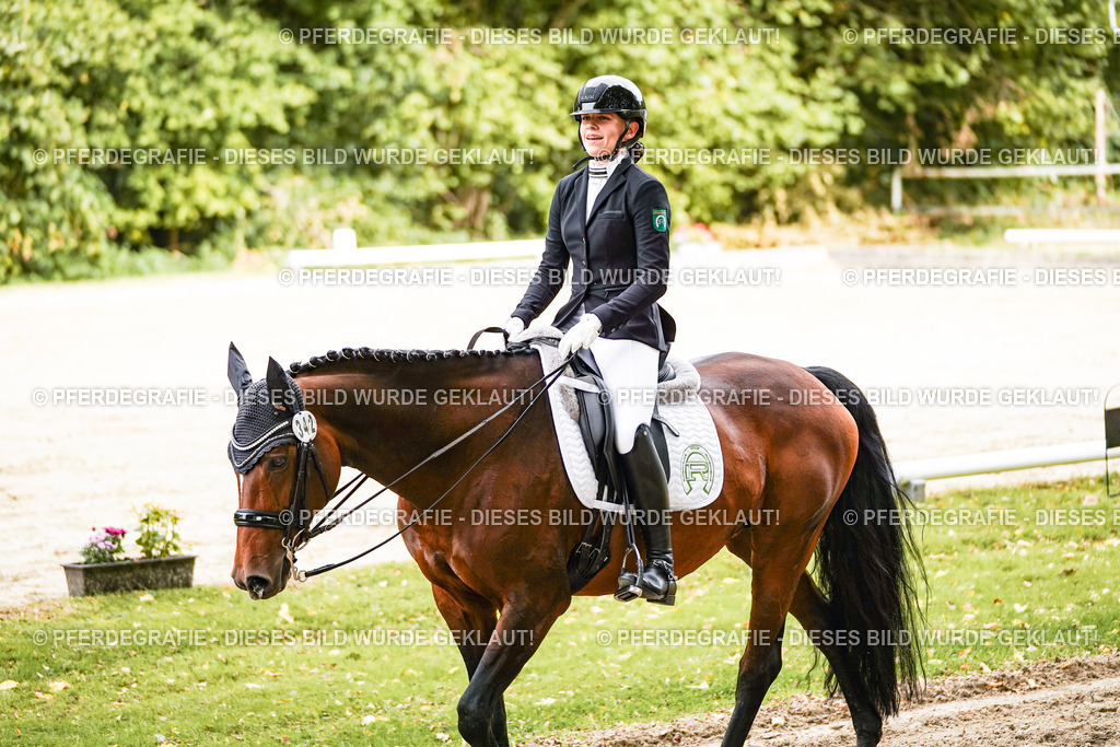 DSC02111 | Pferdegrafie