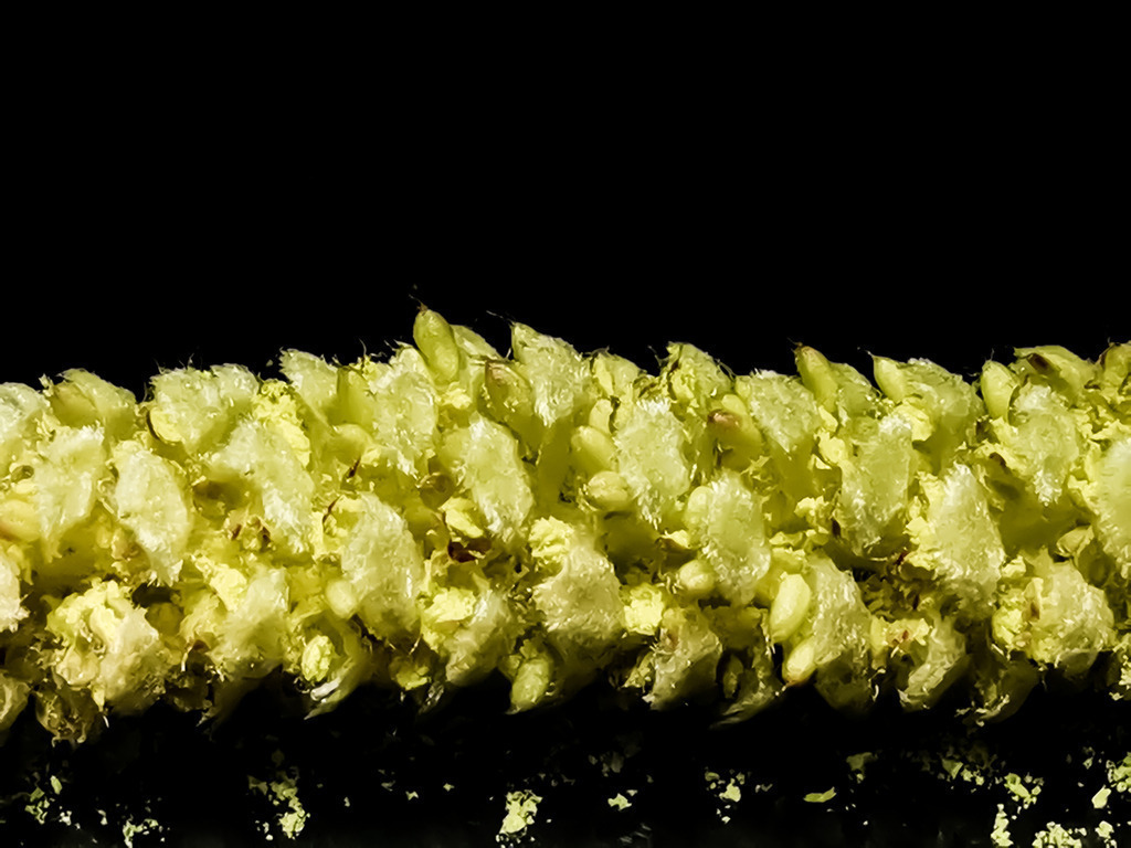 PSX_20230115_215055 | mtkfoto_ - Realisiert mit Pictrs.com