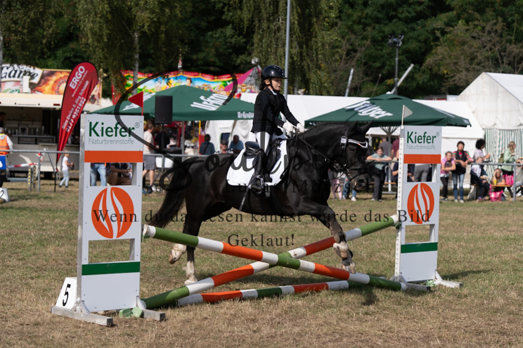 A7V08644 | Pferdefotograf