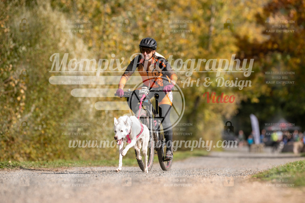 TSB_2023_E2_Bike-1 | PayLife