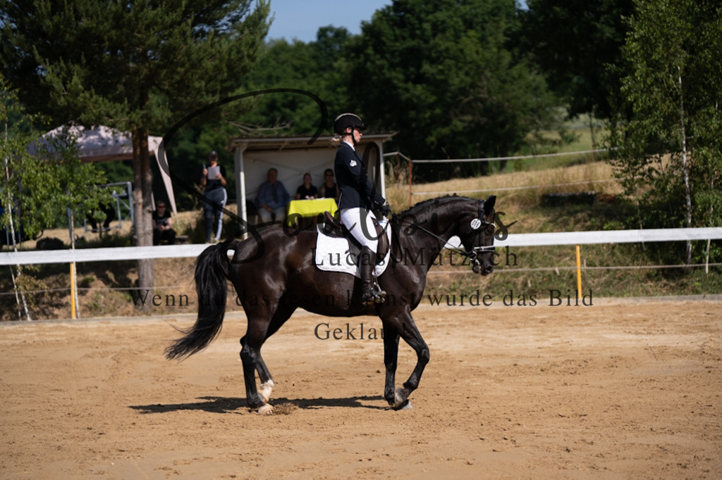 A7V07806 | Turnier/Reitfotograf