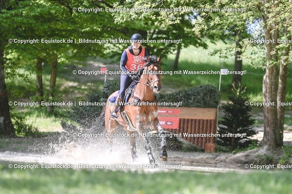 20250517_CCI2_Gelände_0940 | Foto: Thomas Hartig