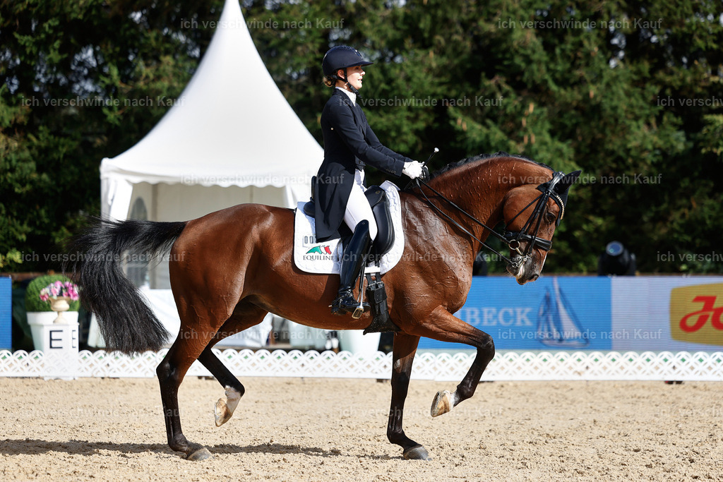 07-003-DRESSUR  S___  -StoibPH-5078 | working equitationturnier fotograf videograf stoibphotography marixx film working equitation deutschland reitsport turnierfotografie eventfotografie equestrian events