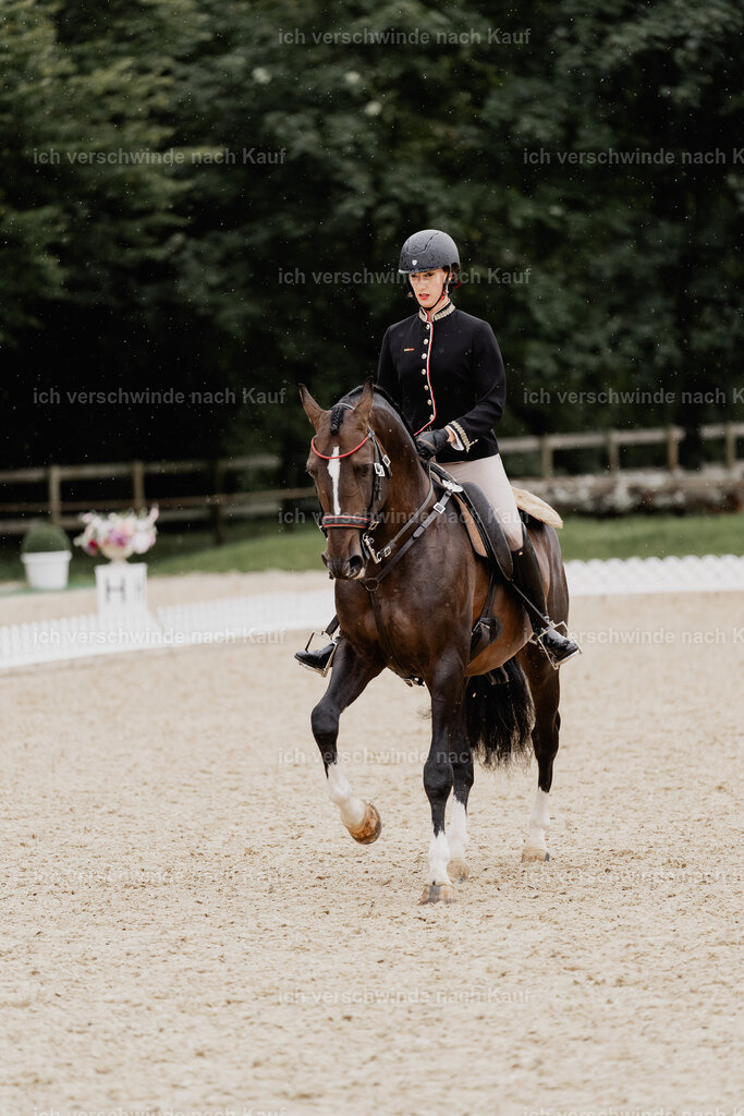 Virginie12FHC2025-8352 | working equitationturnier fotograf videograf stoibphotography marixx film working equitation deutschland reitsport turnierfotografie eventfotografie equestrian events