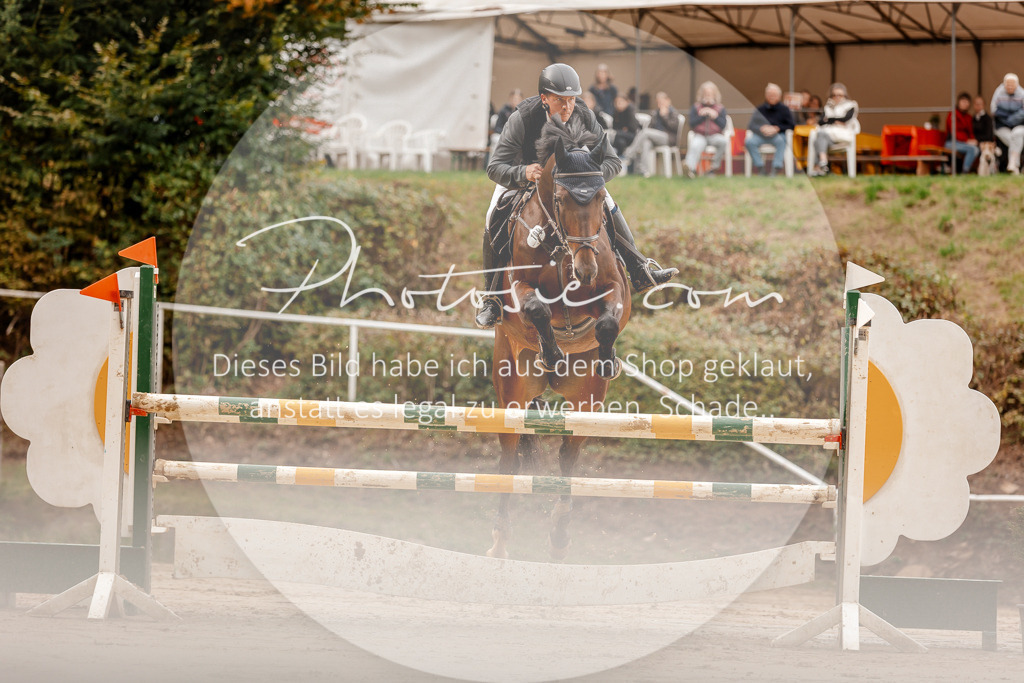 3I6A8039 | Stimmungsvolle Portraits und Reitsportfotografie im Ruhrgebiet und im Münsterland.

Pferdefotografie, Hundefotografie, Tierfotografie, Reportagen, Portraits von Tier und Mensch, Turnierfotografie in Bochum, Recklinghausen, Marl, Haltern am See, Dülmen.. - Realisiert mit Pictrs.com