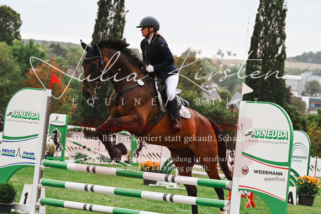 DSC_6388 | Pferde- und Turnierfotografie in Westsachsen. Pferdeportraits, Auftragszeichnungen und intuitive Kunst.