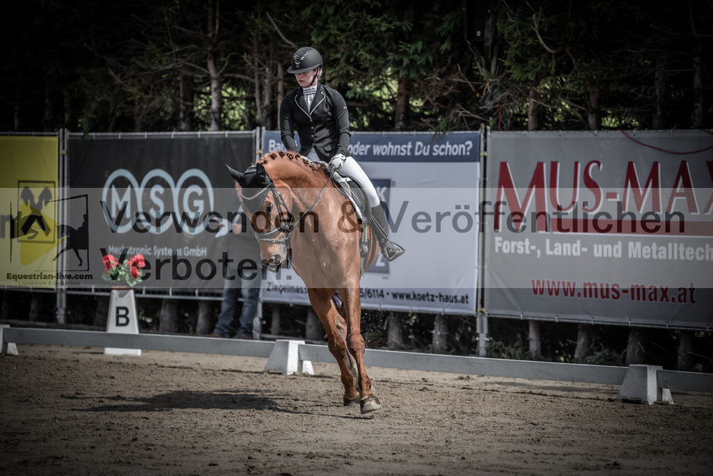 DSC_0764 | equestrian-live-com