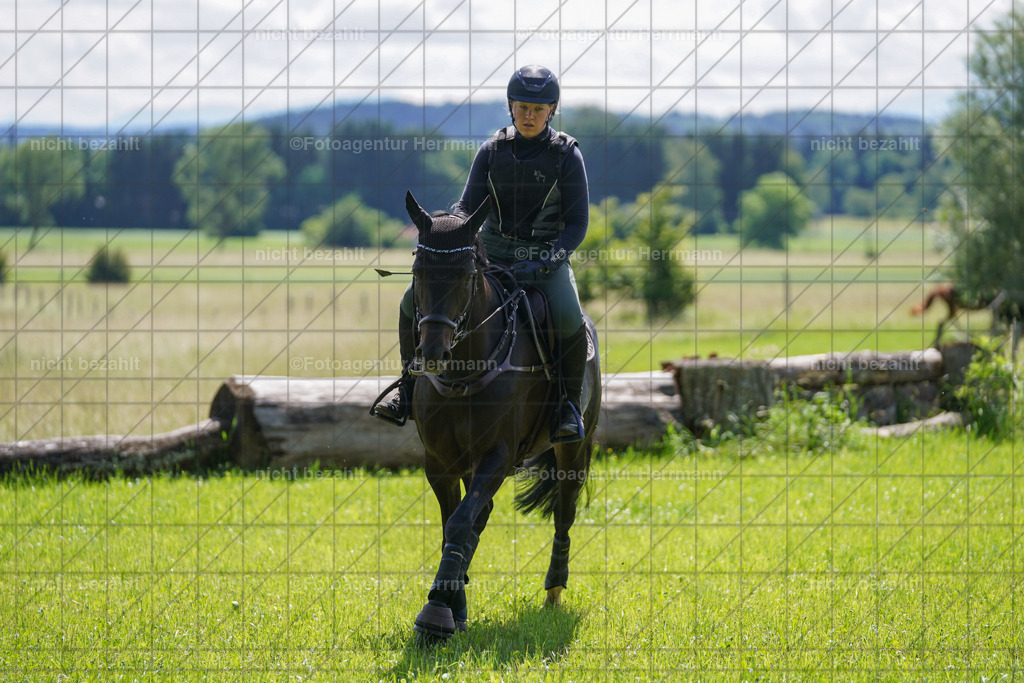 20240622-FAH06766 | Turnierfotografen Bayern, Reitsportbilder aus dem Geländekurs mit Felix Etzel auf dem Gut Waitzacker 2024
