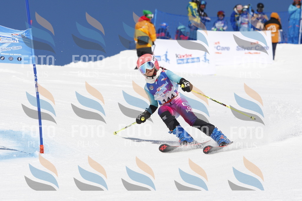 _W1G2159 | holidayphoto