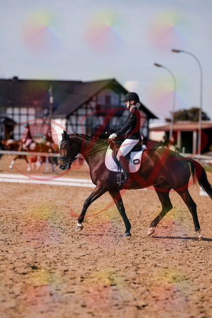 2026_10_03_Siefer-Hof_125827_Z81_48496990 | Professionelle Reitsport-, Turnier- und Eventfotografie von Robert Broda. Galerien mit ausgewählten und bearbeiteten Bildern direkt online ansehen und bestellen.