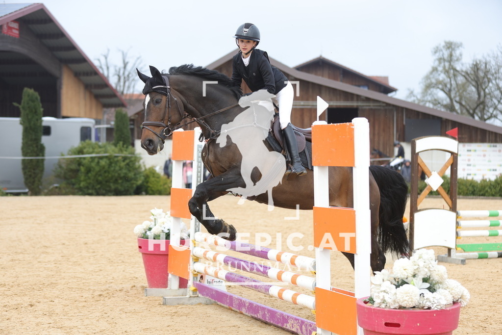 0P6A8876 | Willkommen bei Brunnmayr - Design & Fotografie – Ihrem Spezialisten für Reitturniere und Pferdeveranstaltungen in Oberösterreich, Salzburg und Bayern! Seit über 17 Jahren sind wir leidenschaftlich dabei.