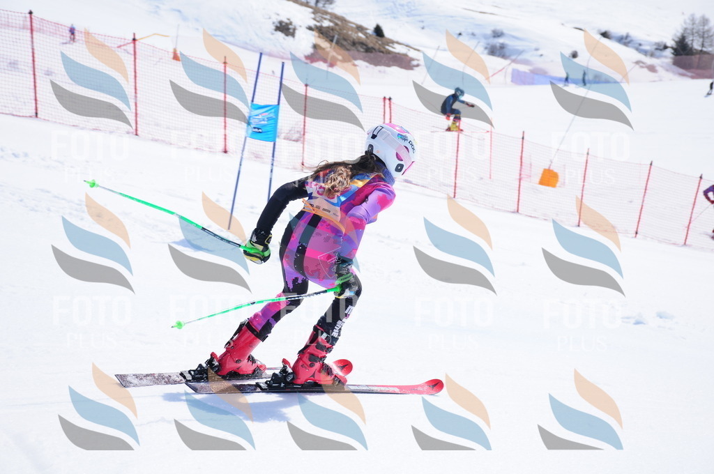 DSC_5334 | holidayphoto