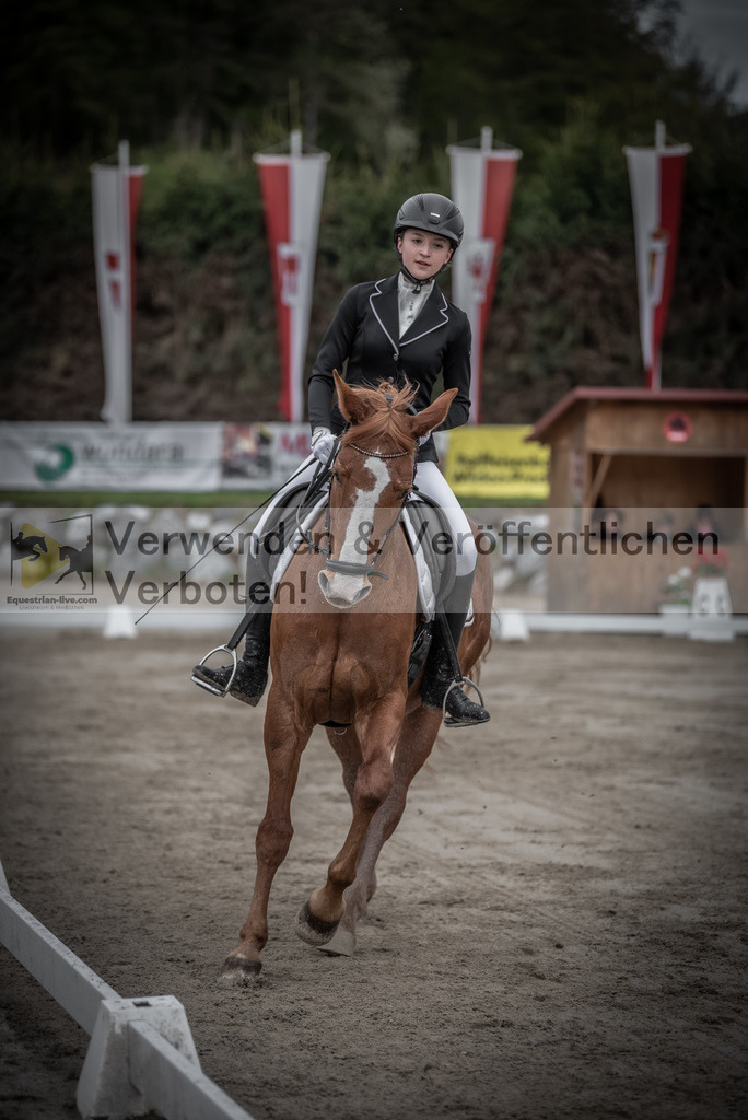 DSC_9063 | equestrian-live-com