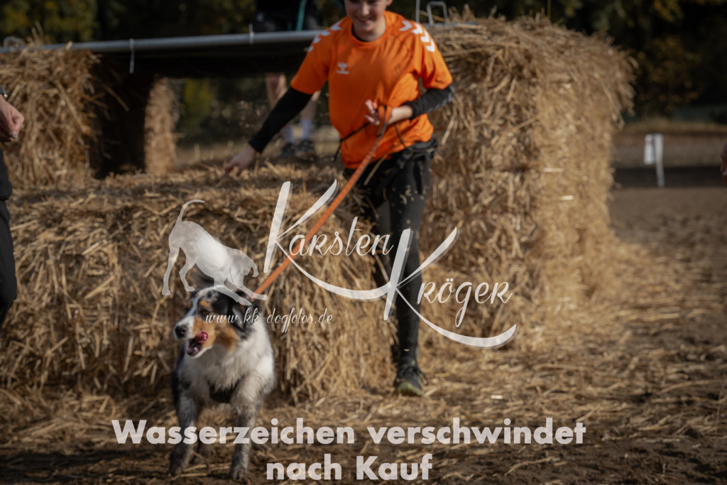 1032_ZZ98606 | kk-dogfotos