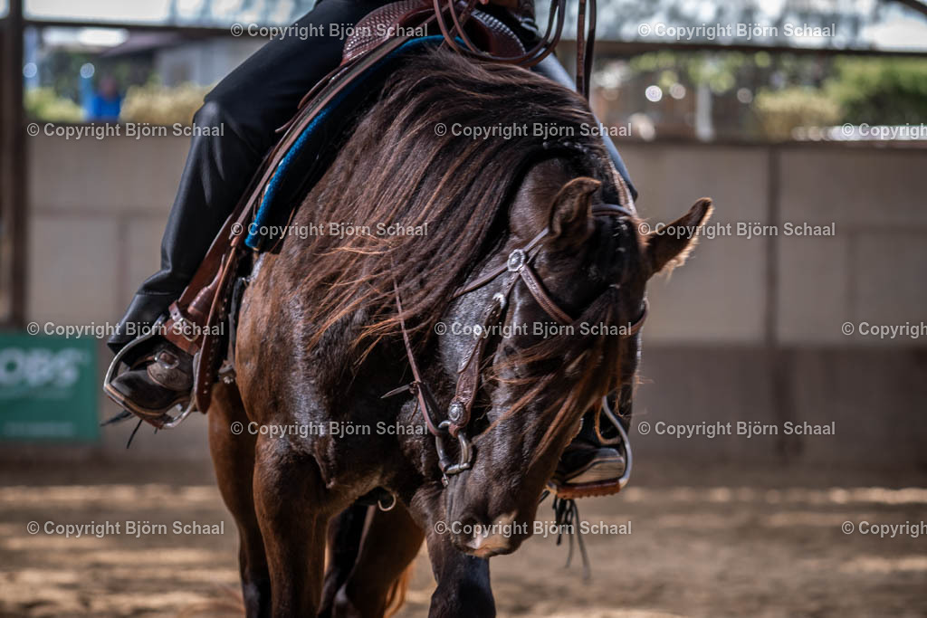 AQB08571 | BS-foto