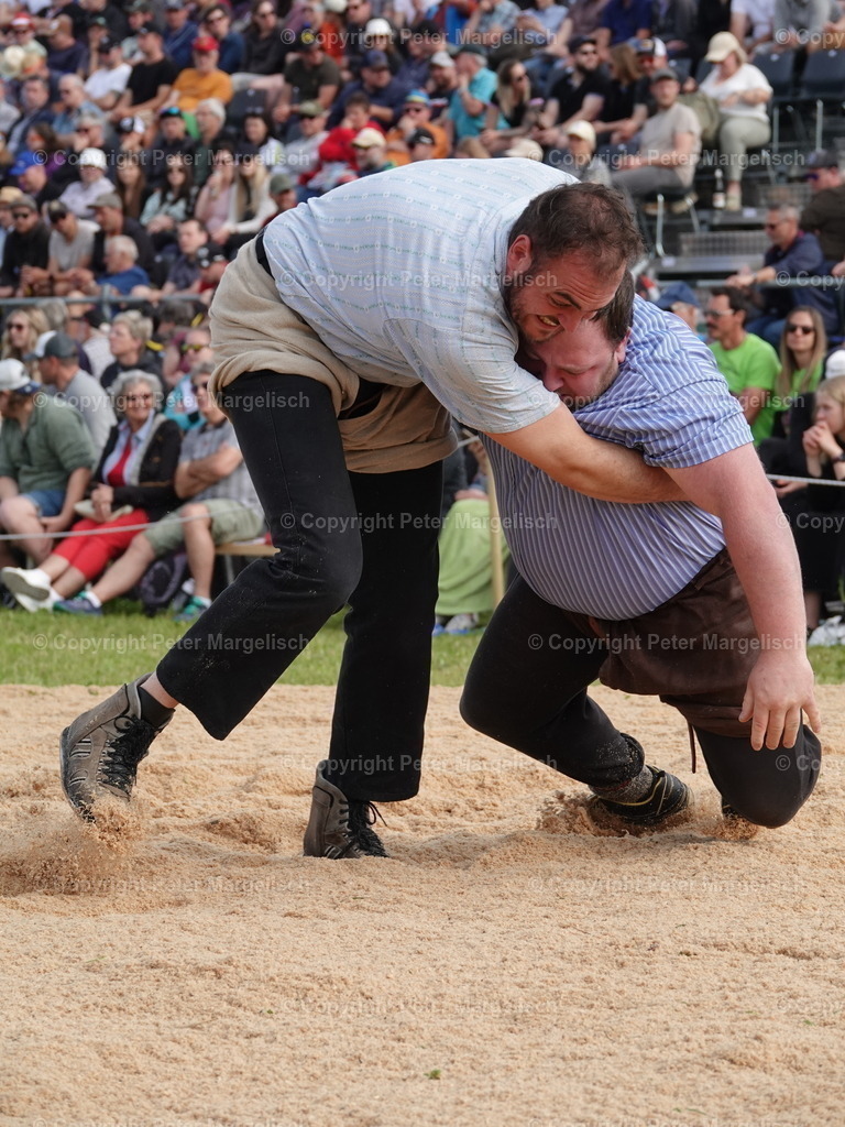 DSC06681 | Schwingen - Realisiert mit Pictrs.com
