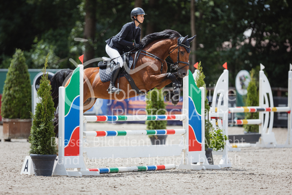 220705_Mühlen_SprPf-A3-395 | Late Entry Mühlen
05.07.2022
03 Springpferde-A**, 4-6jährige Pferde