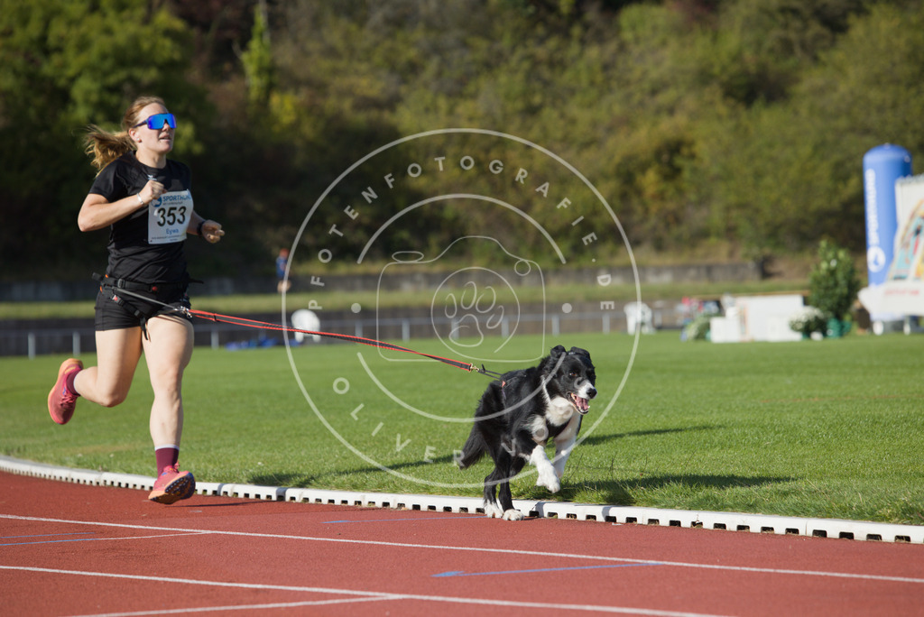 0L8A9956 | Hundefotografie, Tierfotograf, Pfotenfotografie, Fotoshooting Hund, Hunde Portrait, Hundesport, Hundeportraits, Heideshooting, Hunde, Sportfotograf, Hundefotograf, Turnierhundsport, THS,  - Realisiert mit Pictrs.com
