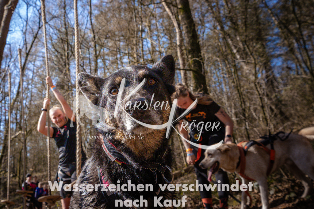 1114_ZZ97147 | kk-dogfotos