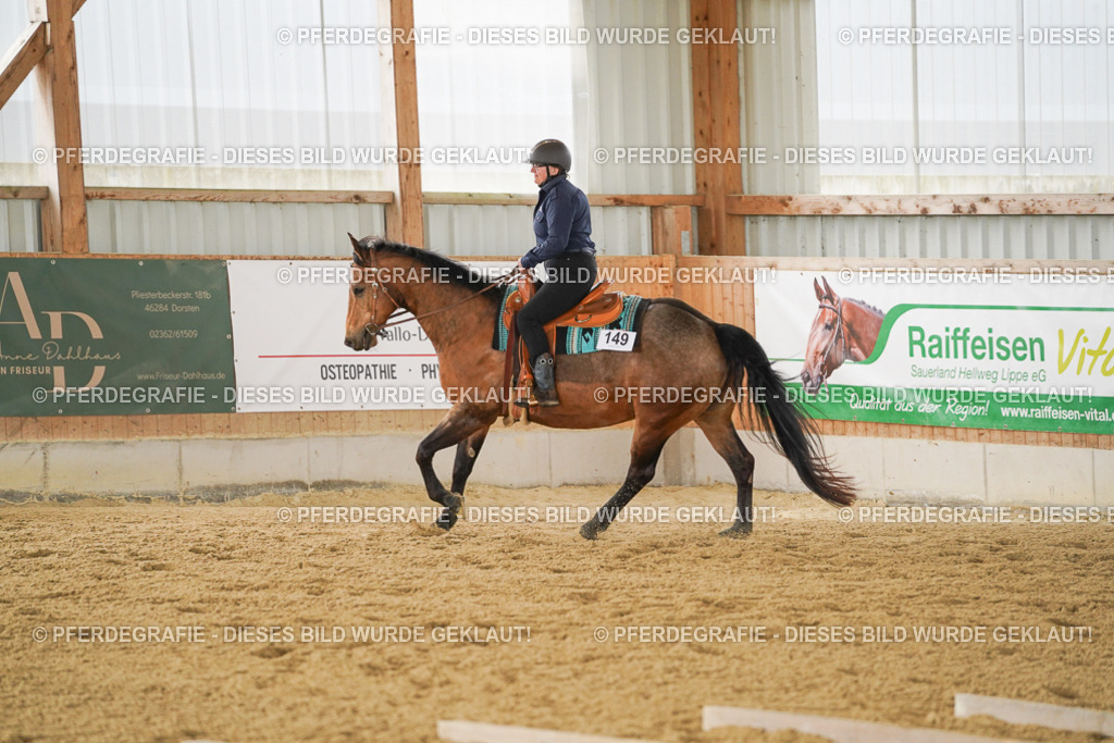 DSC03821 | Pferdegrafie