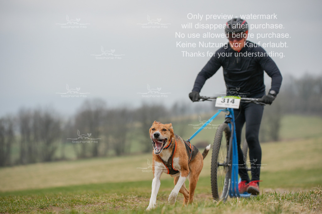 ScooterSA-59 | stephaniefillaphotographie - Realisiert mit Pictrs.com