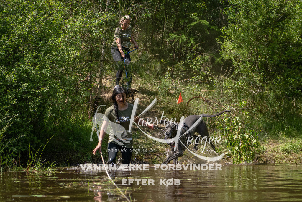 DK K991975141428 | kk-dogfotos
