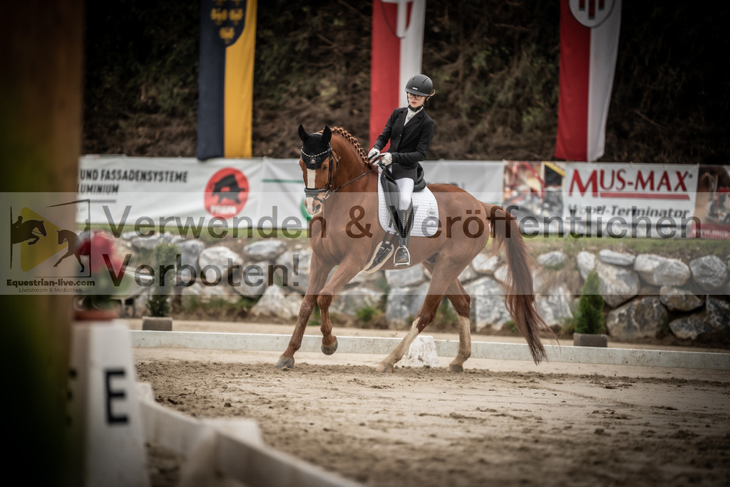 DSC_0205 | equestrian-live-com