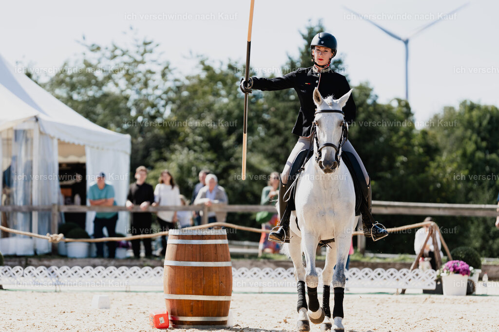 Virginie12FHC2025-08571 | working equitationturnier fotograf videograf stoibphotography marixx film working equitation deutschland reitsport turnierfotografie eventfotografie equestrian events
