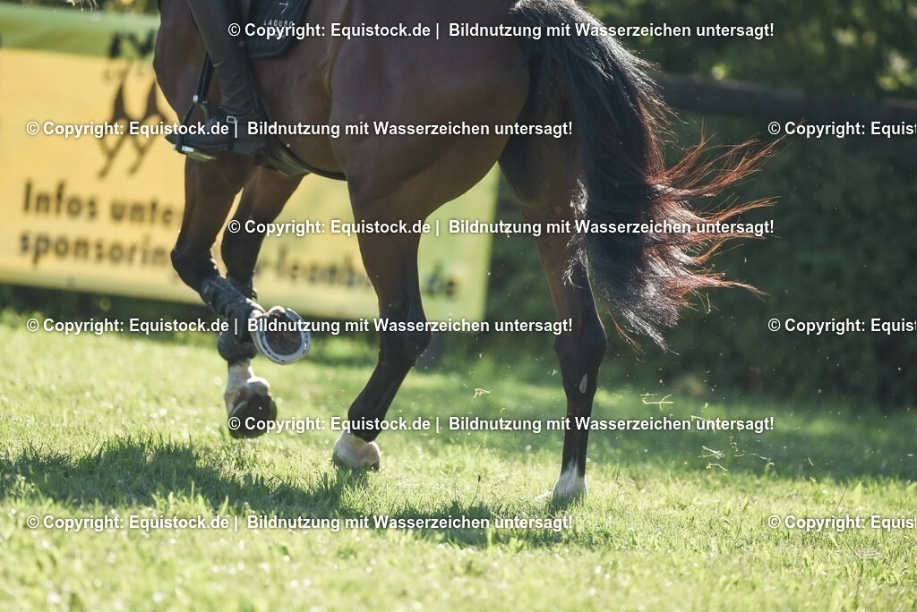 20230909_12_Stilspringen_A_0165 | Foto: Thomas Hartig