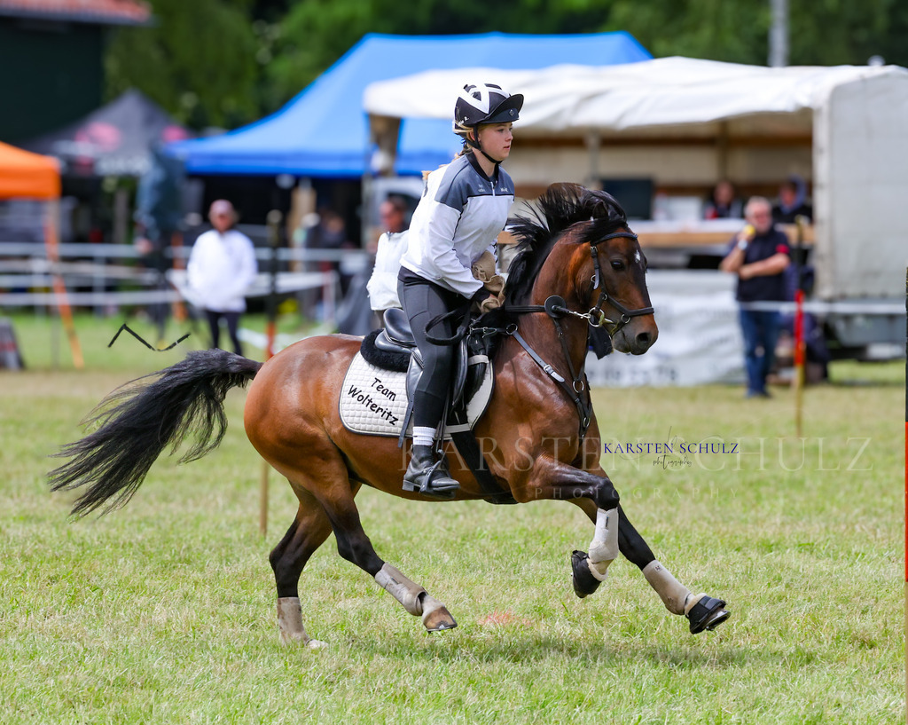 1B3A1754 | Reitsport Reiten
