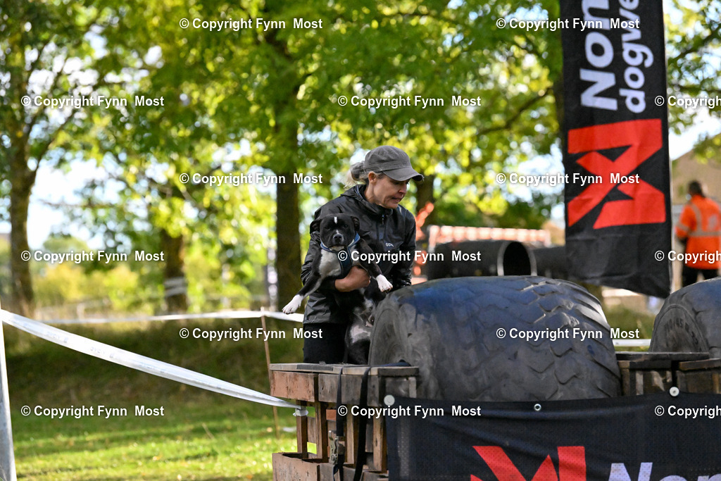 DSC_7091 | Hallo und herzlich Willkommen auf meiner Shop-Seite Fynn Most.

Ich wünsche Dir viel Spaß beim stöbern durch die Bilder, wenn Du Fragen hast oder Bilder vermisst, kannst du mir gerne eine Nachricht schreiben. - Realisiert mit Pictrs.com