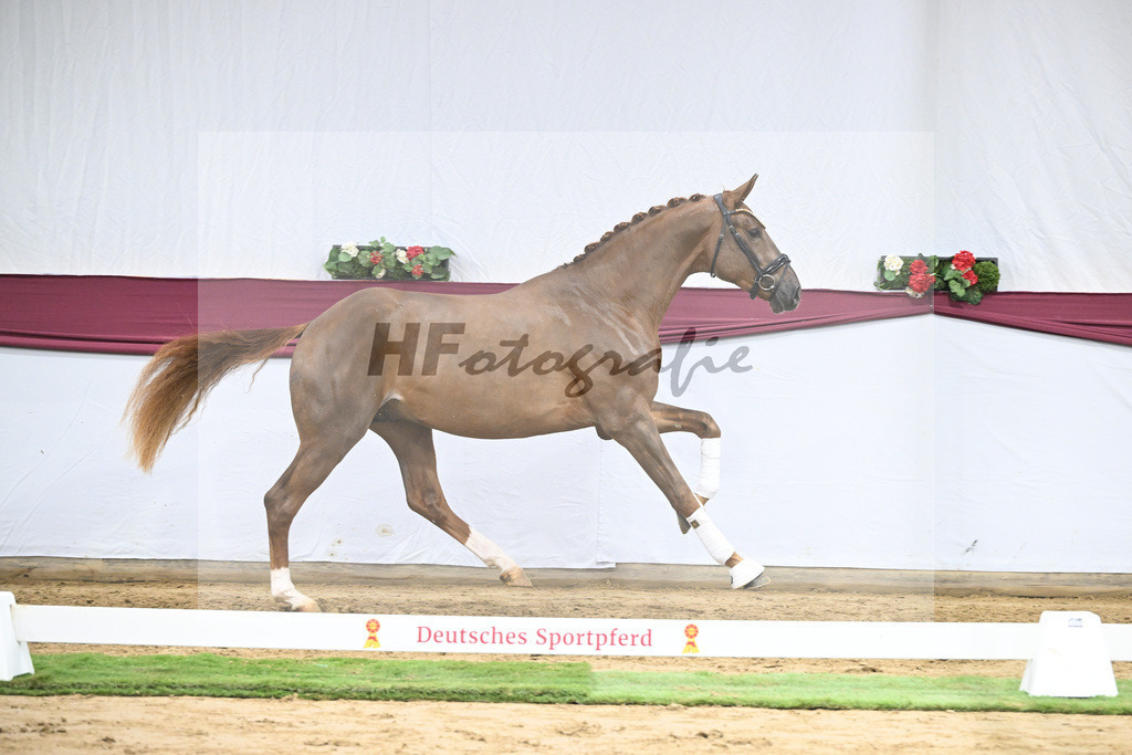 Kat-Nr. 52 Filox x Feinrich_Rothenberger Ventures GmbH_47251950 | hf-fotografie - Realisiert mit Pictrs.com