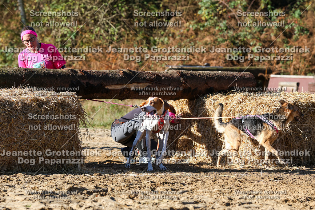 Dog Paparazzi - Strongdog 10-25-1943 | Dog Paparazzi Jeanette Grottendiek Fotografie & Videografie - Realisiert mit Pictrs.com