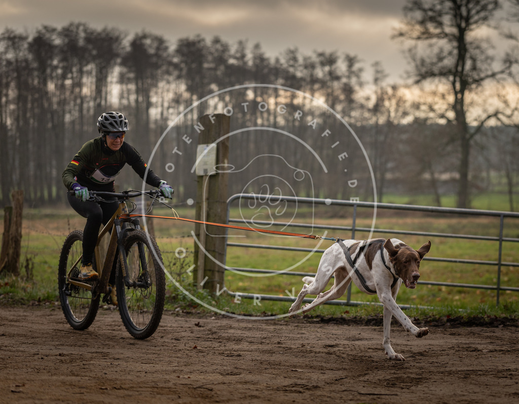 Pfotenfotografie_DV3A1816 | Hundefotografie, Tierfotograf, Pfotenfotografie, Fotoshooting Hund, Hunde Portrait, Hundesport, Hundeportraits, Heideshooting, Hunde, Sportfotograf, Hundefotograf, Turnierhundsport, THS,  - Realisiert mit Pictrs.com